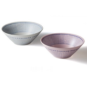 Mino ware Donburi Bowl Gift Set M Made in Japan