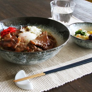 Make Up Noodle Bowl Made in Japan Mino Ware ancient kilns