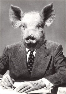 ポストカード モノクロ写真「豚の頭」