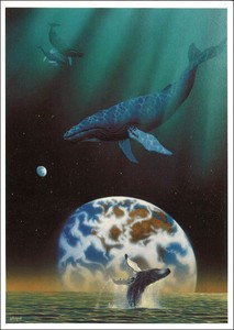 ポストカード アート シム・シメール「クジラの空間」メッセージカード 郵便はがき
