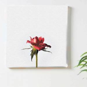 【アートデリ】花のファブリックボード インテリア雑貨 ホワイト  poht-2205-14 30cm×30cm Mサイズ