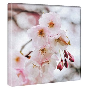 【アートデリ】花のアートパネル インテリア雑貨 ピンク 桜 poht-2205-19 30cm×30cm Mサイズ