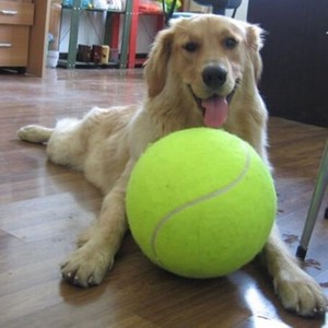 ビッグサイズ テニスボール 面白いワンちゃんのおもちゃ 犬 猫 ペット 訓練 YMB096