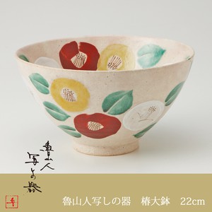 Mino ware Main Plate 22cm Made in Japan