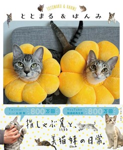 ととまる＆はんみ　　　ねこ／ペット／動物／写真／SNS
