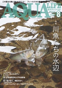 月刊アクアライフ 2022年 08 月号  川魚たちの水辺