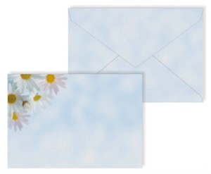 Outlet Photo Envelope Set type Margaret Plant Flower Made in Japan