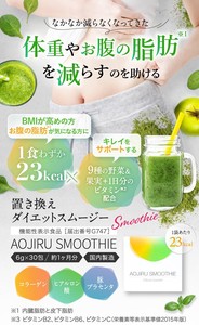 AOJIRU SMOOTHIE（青汁スムージー）30包　置き換えダイエットスムージー