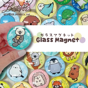 Magnet/Pin Made in Japan