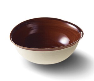 Shigaraki ware Donburi Bowl Gift Set Style