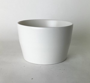 Cup White
