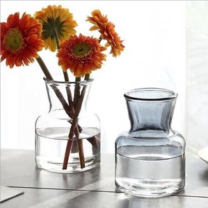 創造的なシンプルなガラスの花瓶水耕植物の花瓶 BQ650