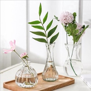 創造的なシンプルなガラスの花瓶水耕植物の花瓶 BQ114