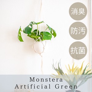 Artificial Plant Anti-Odor