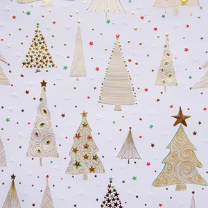 Medium Paper Wrapper Christmas 50cm x 70cm