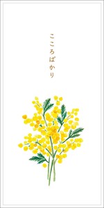 Envelope Mimosa