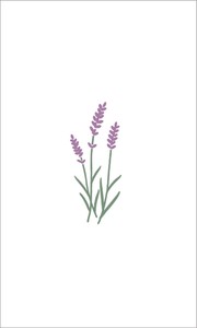 mois et fleurs ぽち袋 lavender