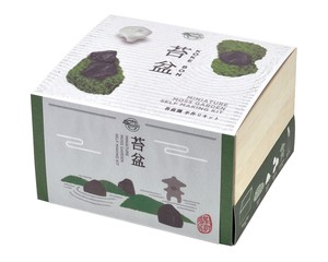 【プランター/栽培セット】苔盆［瀬戸焼/日本製/シンプル］