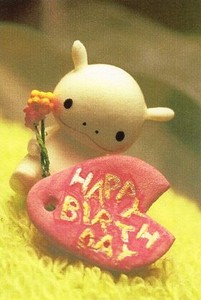 ポストカード カラー写真 Seisuke「HAPPY BIRTHDAY」メッセージカード 郵便はがき