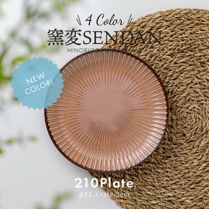 Mino ware Plate Made in Japan