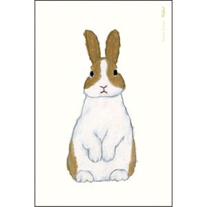 Postcard Rabbit