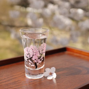Sakura Glass Set Temperature Change Sake Glass Made in Japan