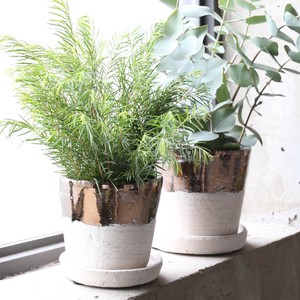 Pot/Planter dulton Bicolor Terracotta