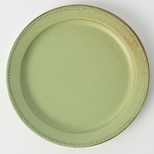 Bronze Green 24 cm Plate HASAMI Ware Made in Japan 2