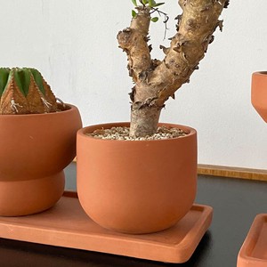 Pot/Planter dulton Terracotta 3.5-go