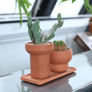 Pot/Planter dulton Saucer Terracotta