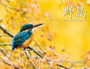 2 3 Wild Bird Calendar 2