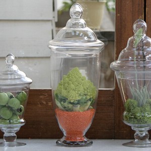 Glass Jar [Kitchen Accessories] Amando Size S GLASS AND 4 5 7 1
