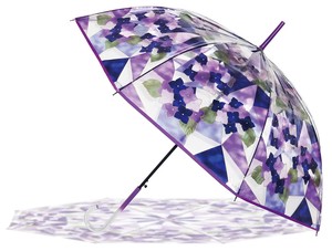 雨伞 紫阳花