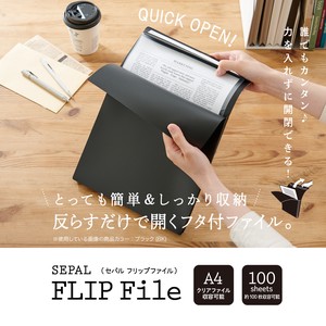 Flip File A4