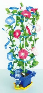 あさがお栽培セット 93153