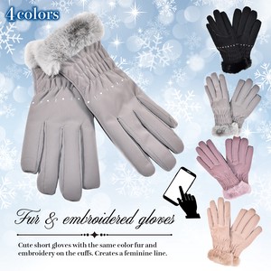 Glove Ladies A/W Warm Ladies