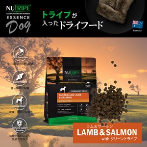 総合栄養食 ニュートライプ GF 犬 ドッグフード(ドライ)　ラム＆サーモン＆グリーントライプ