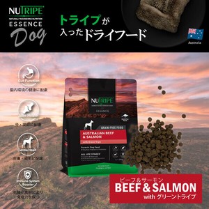 総合栄養食 ニュートライプ GF 犬 ドッグフード(ドライ)　ビーフ＆サーモン＆グリーントライプ