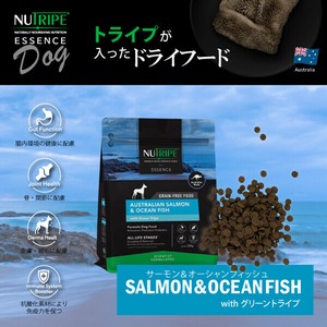 総合栄養食 ニュートライプ GF 犬 ドッグフード(ドライ)　サーモン＆フィッシュ＆グリーントライプ