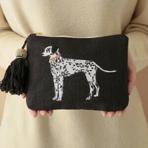 Pouch