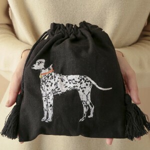 Pouch