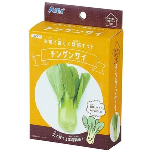 お家で楽しく栽培キット　チンゲンサイ