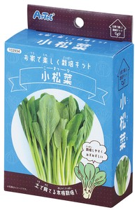 お家で楽しく栽培キット　小松菜