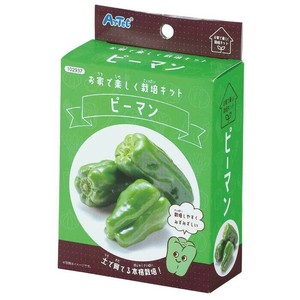 お家で楽しく栽培キット　ピーマン