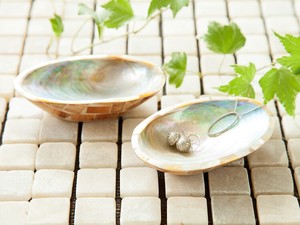Real Shell Tray Mosaic Cheek Powder Accessory Case Natural Wooden Resort Items