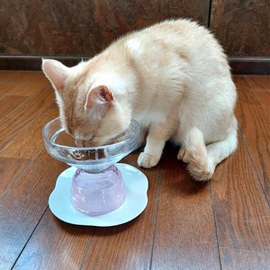 Cat Rice Food Bowl Type Pink