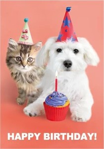 Postcard Animal Postcard Happy Birthday