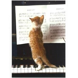Postcard Piano Cat