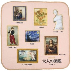 Face Towel Adult illustrated book