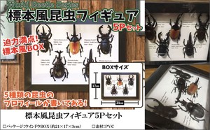 Insect Figure 5P Set